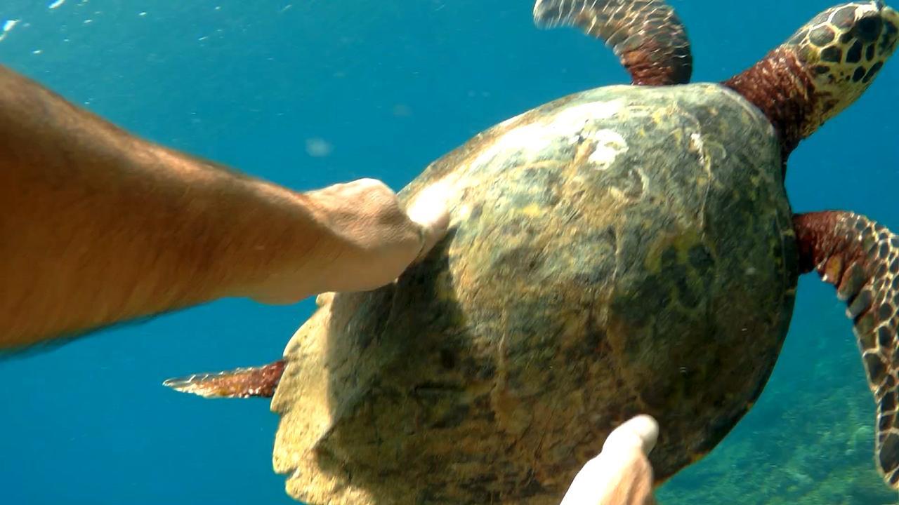 エディ―ズ ホームステイ Lhonga エクステリア 写真